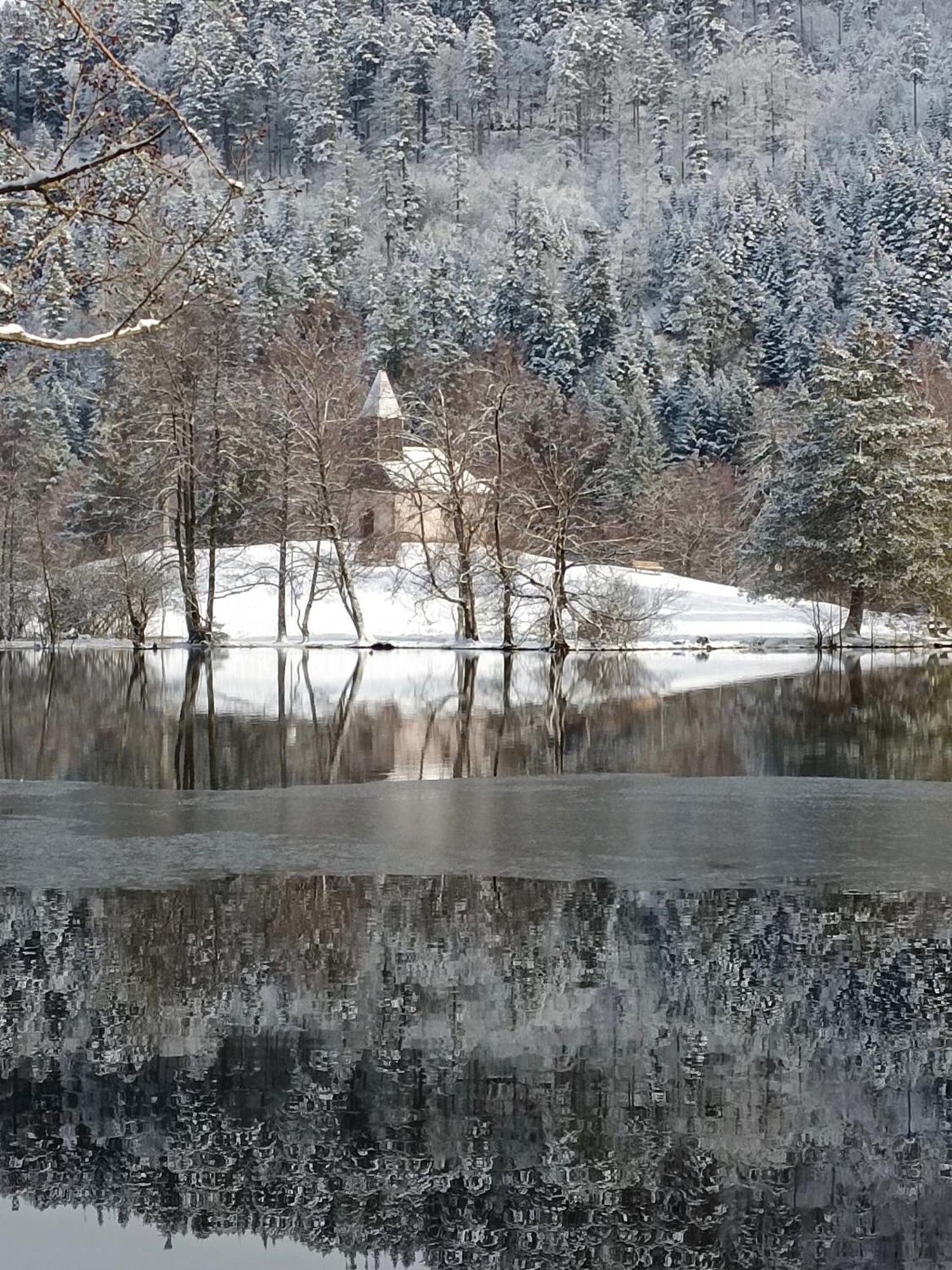 Résidence Les Myrtilles  Xonrupt-Longemer Esterno foto
