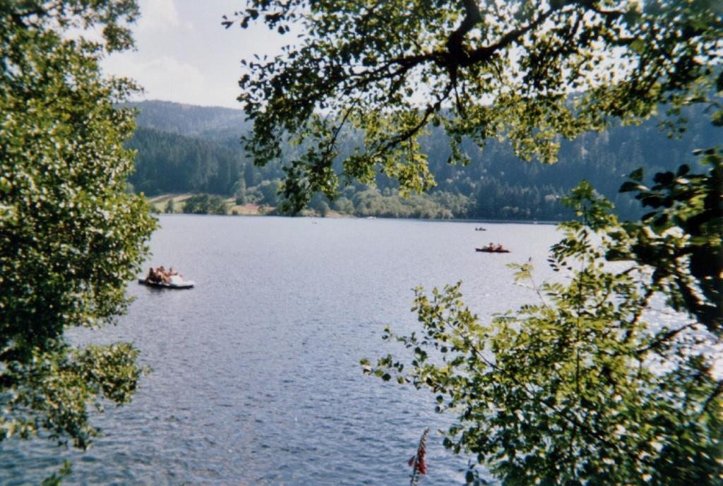 Résidence Les Myrtilles  Xonrupt-Longemer Esterno foto
