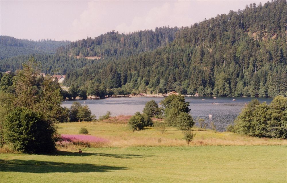 Résidence Les Myrtilles  Xonrupt-Longemer Esterno foto